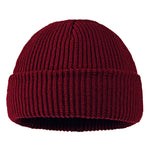 Winter Warm Beanies Female Wool Knitted Skull Cap