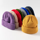 Womens Cuffed Beanies Knit Skull Cap Warm Ski Hats Beanie Hats